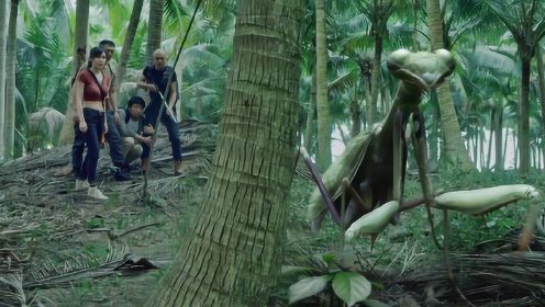 终于有一部能看的国产冒险电影！4人来到荒岛，岛上都是巨型生物