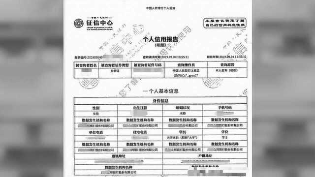 个人征信报告教学试解读