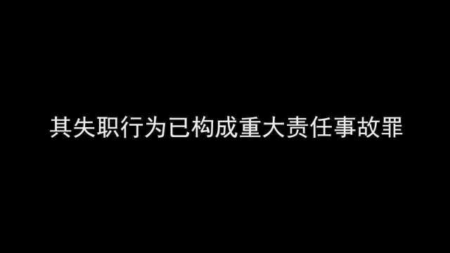 河北盛华化工有限公司重大燃爆责任事故案一审宣判