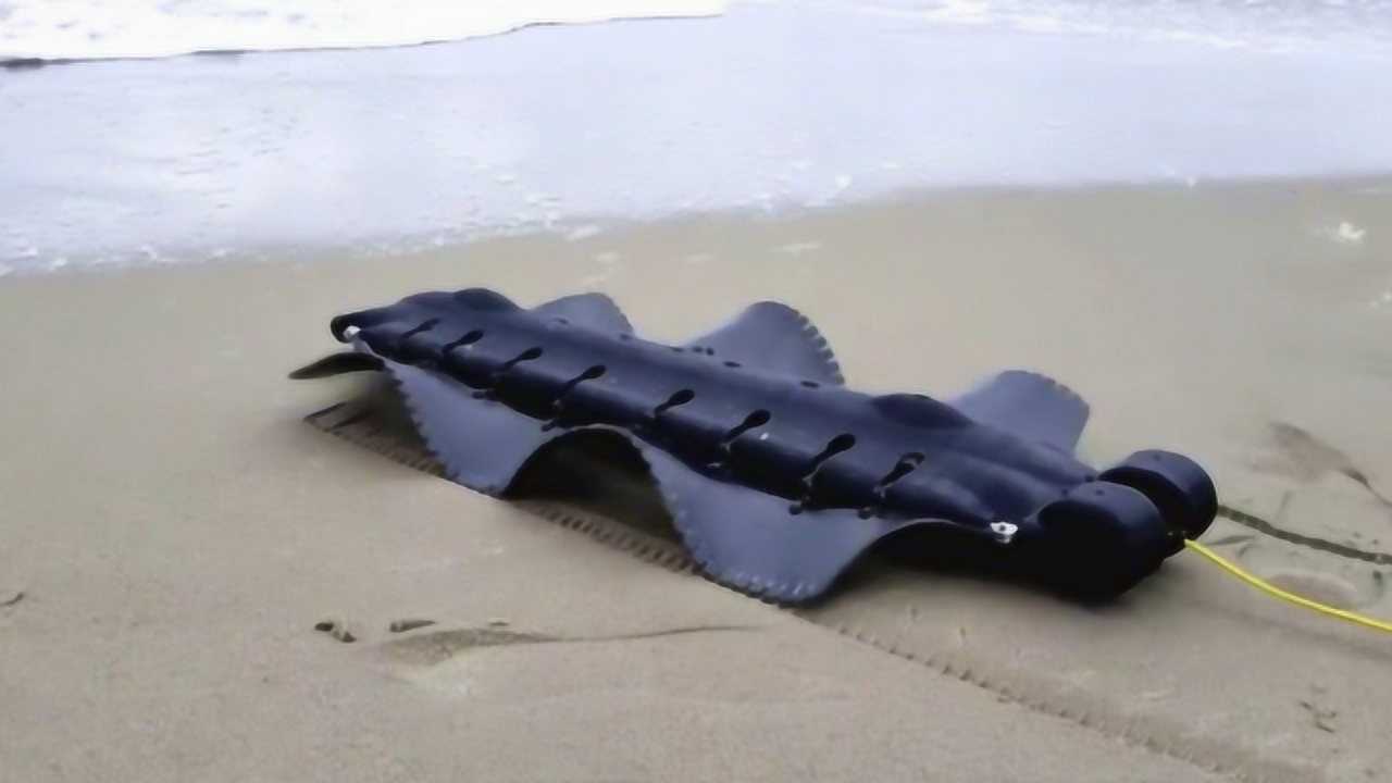 美国发明鱼形两栖机器人,能爬行还能游泳,用途太强大了!