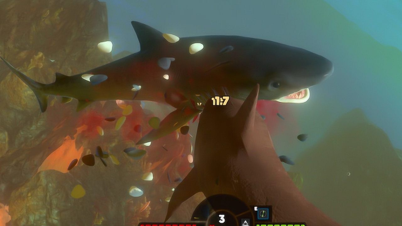 海底大猎杀没想到虎鲨竟然被锤头鲨欺负的那么惨