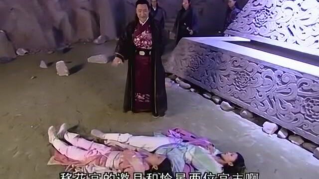 花无缺纵身跳下断肠崖,不仅没死,竟在谷底发现铁心兰