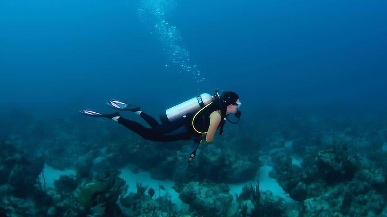 他们号称深海猎人,毫无安全措施潜入海底,仅仅是为了生计