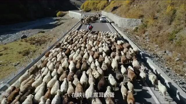 不止阳光 内蒙古旅行 围城随笔