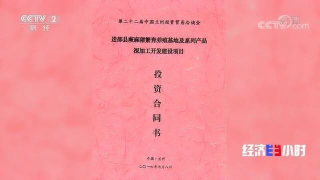 一块地租给三家企业,当地政府却装糊涂!千万投资打了水漂……