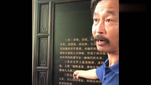 沈先生谈“三苏”,恕我直言,不愧是从小就接受良好教育的!