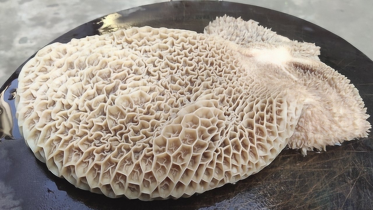 牛身上像蜂窝一样的食材,小伙拿来这样做,香辣脆爽,下酒真带劲