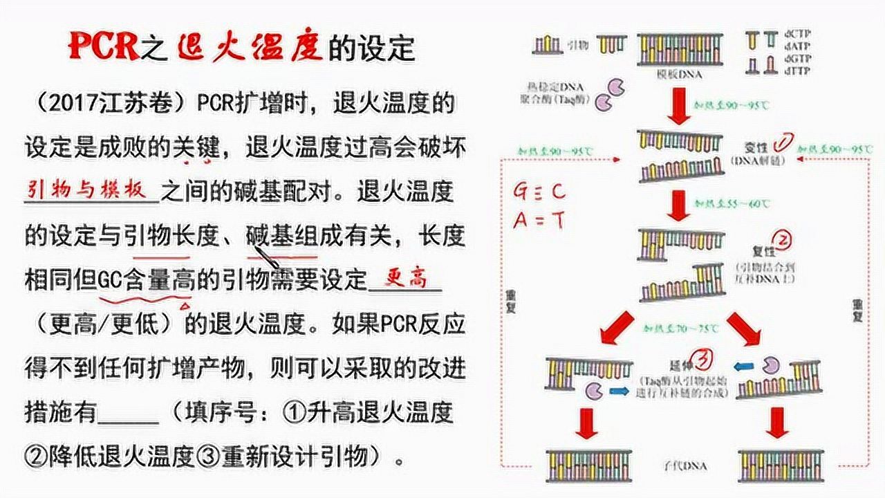 高中生物微课:PCR之退火温度的设定_腾讯视频