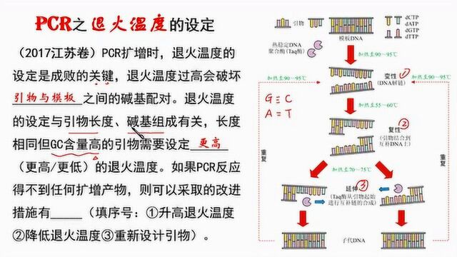 高中生物微课:PCR之退火温度的设定