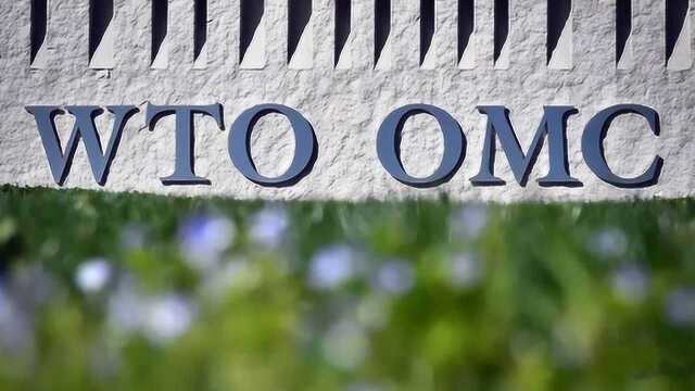 WTO遭美重伤但不会死!即使美国不参与,仍维系争端解决功能