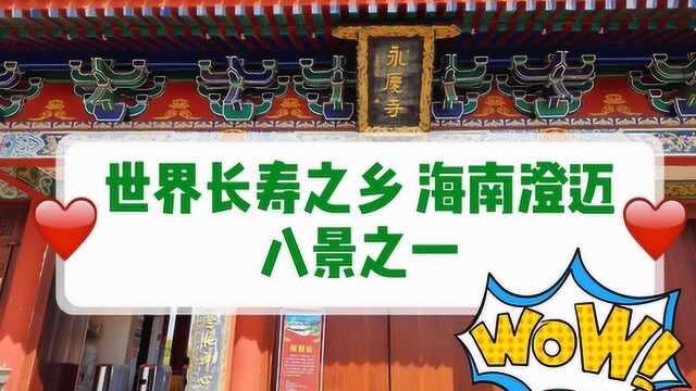 世界长寿之乡、海南澄迈八景之一值得您来看看,这样的树您见过吗