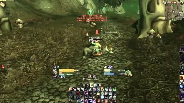 魔兽世界怀旧 野德PVP