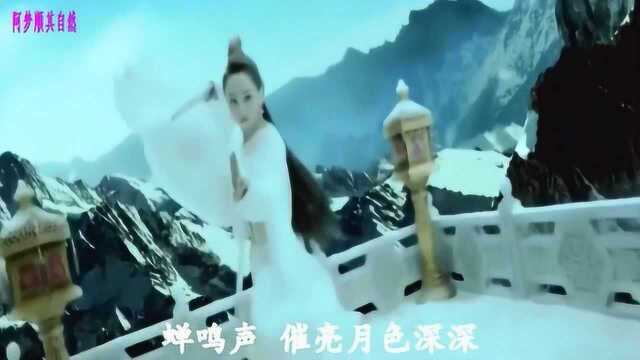 何曼婷  倚栏听风 (女版)