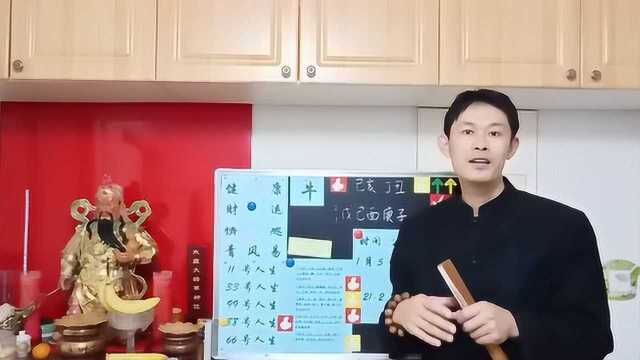 1月的牛,生肖牛的财富,你的好运钱财来了