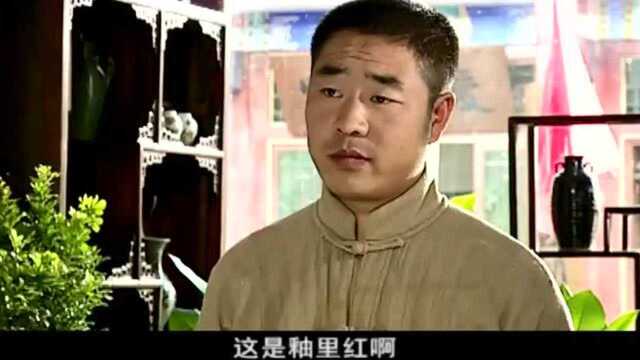 德子把家藏最后珍品带来尚珍阁,这是件元釉里红高方瓶,无价之宝