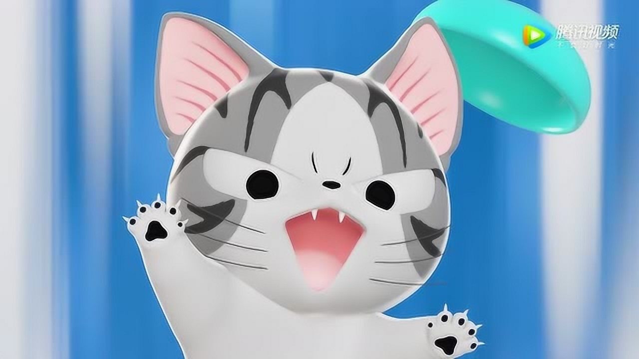 《甜甜私房猫》哇,小奇真的太厉害了