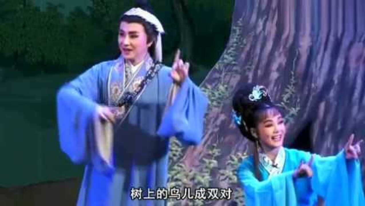 黄梅戏《天仙配》树上的鸟儿成双对,演绎得太精彩了!_高清1080P在线观看平台_腾讯视频