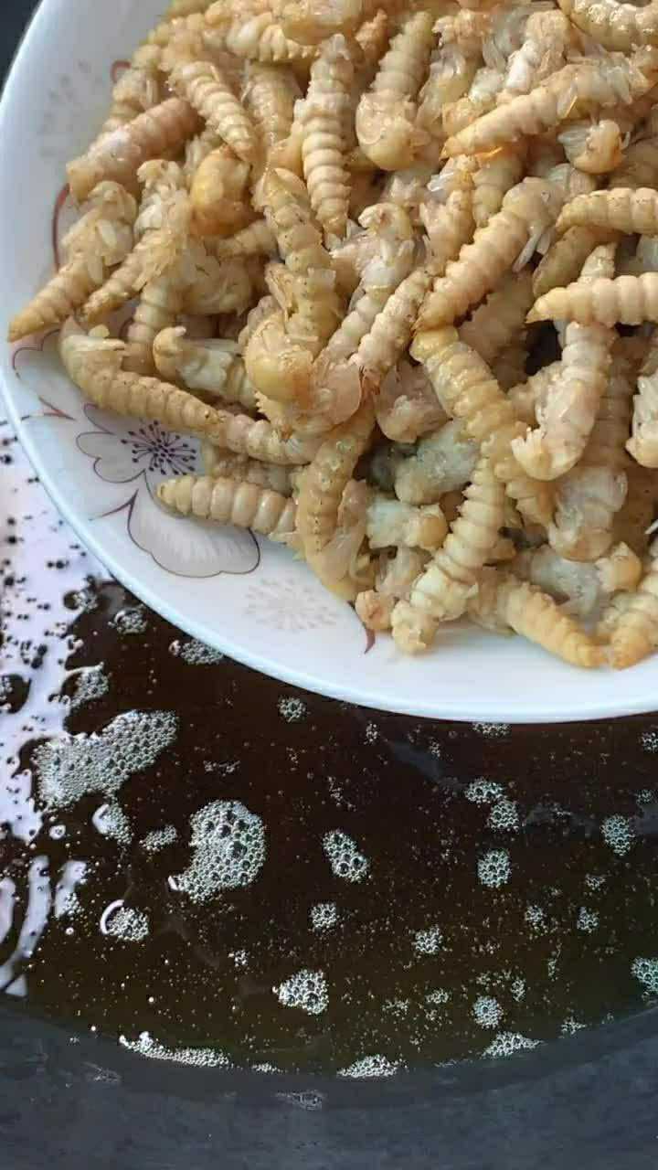 这是大麦虫的蛹,七天纯净成蛹状态,味道真不错!