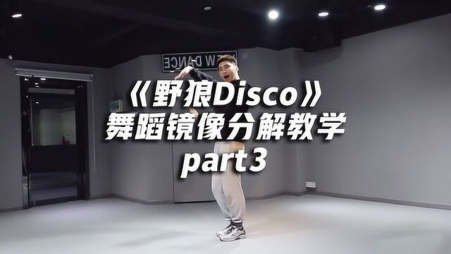 《野狼disco》舞蹈镜像分解教学part3