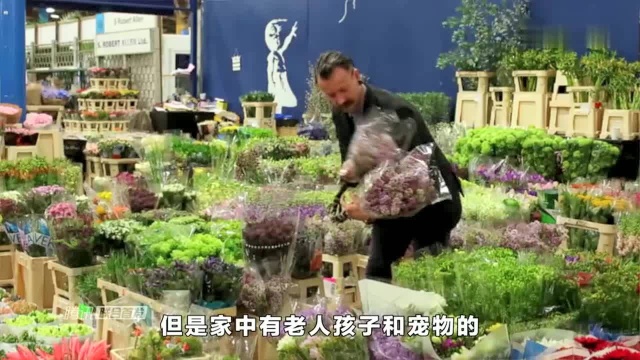 这种花有着致命毒性,但是很多家庭却都在养