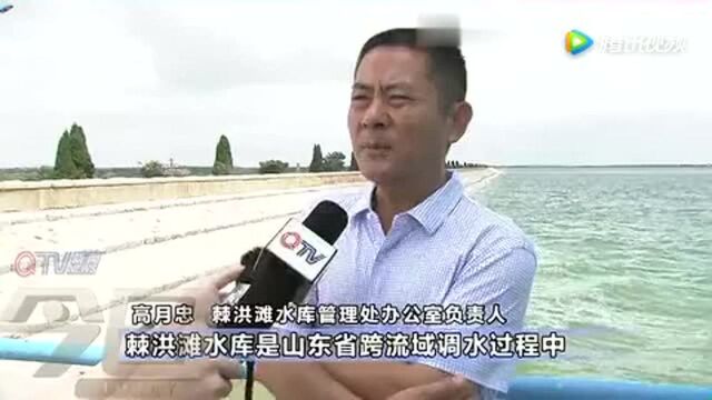 “引黄济青”工程上!