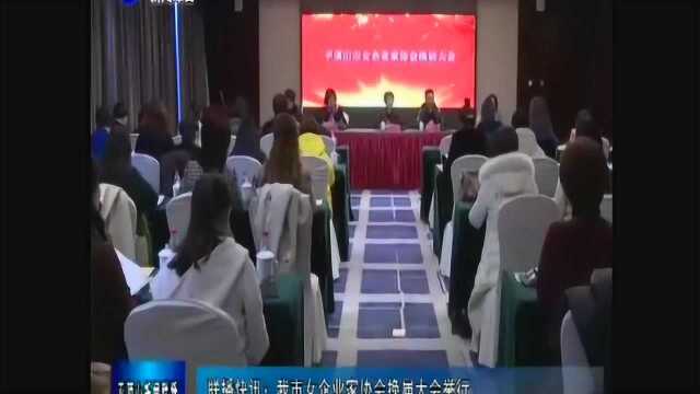 平顶山市女企业家协会进行换届选举 张慧丽当选会长