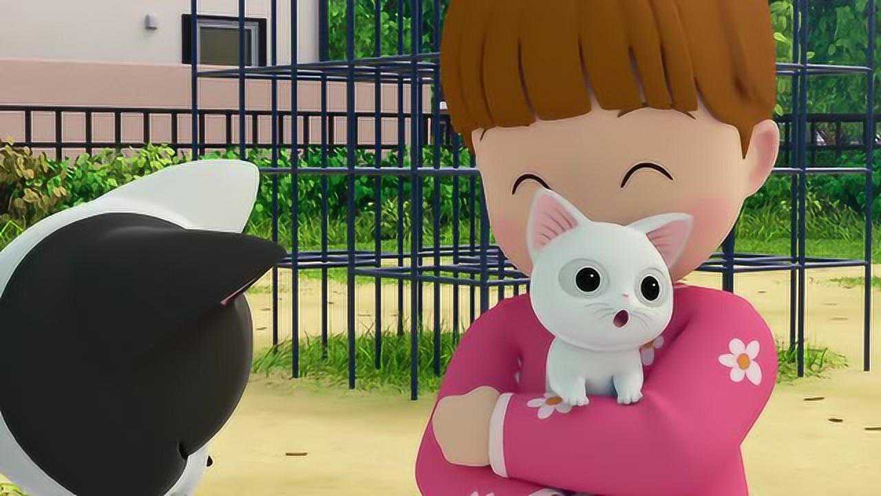 《甜甜私房猫》小白白好可爱哦