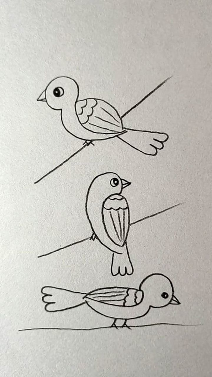3字画鸟方法图片