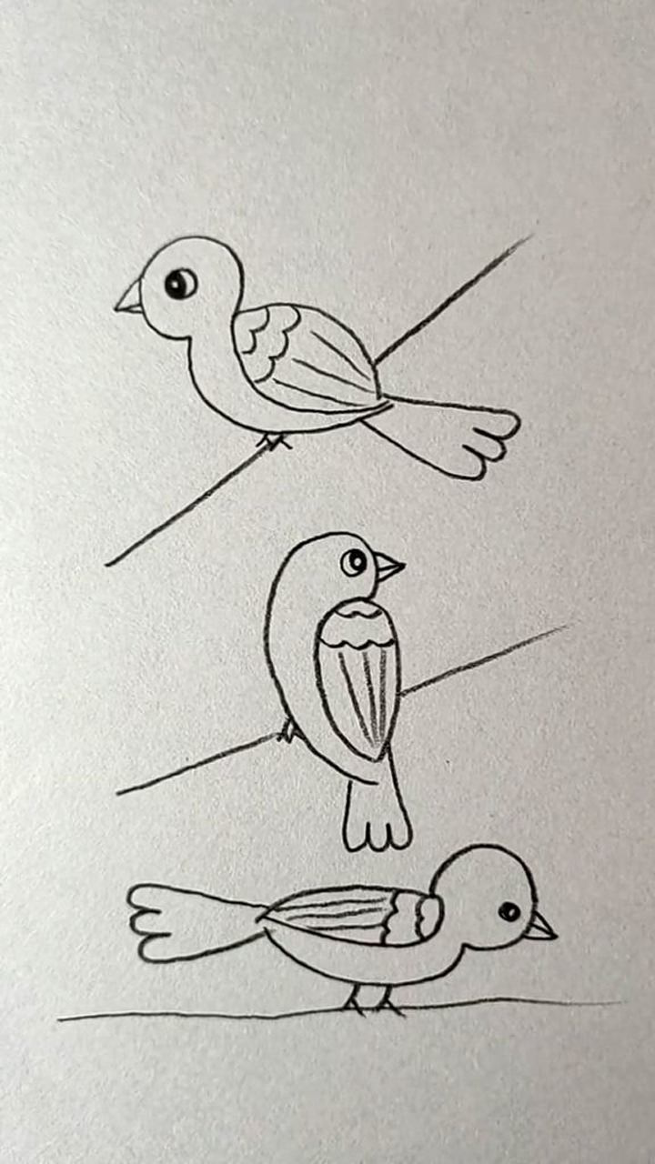 画三只形态各异的小鸟_腾讯视频