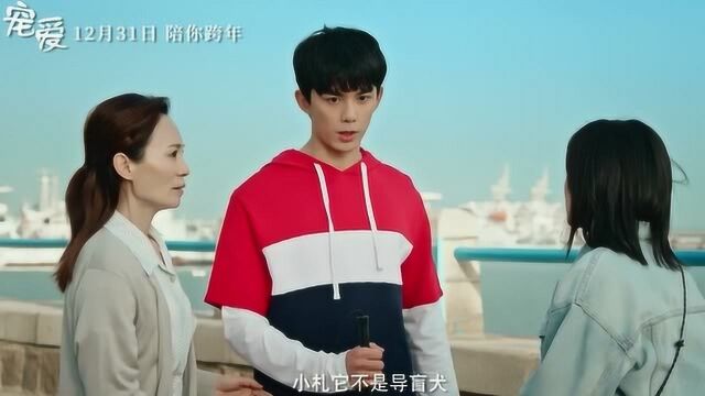 影视快讯:宠爱 预告片7:守护版