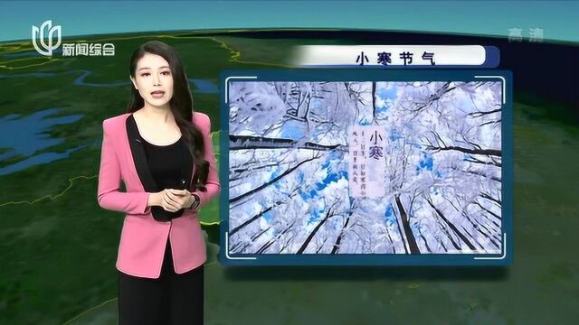 上海天气温差较大 未来一周气温骤降 雨水丰富