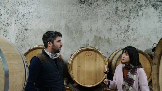 Domaine Desvignes——勃艮第鹊起的名家