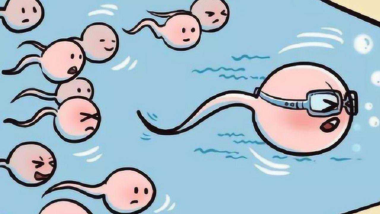 “精子”是怎么产生的？一分钟让你看明白，动画模拟全过程_高清