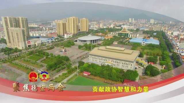 2020年德宏“两会”政协会精彩集锦