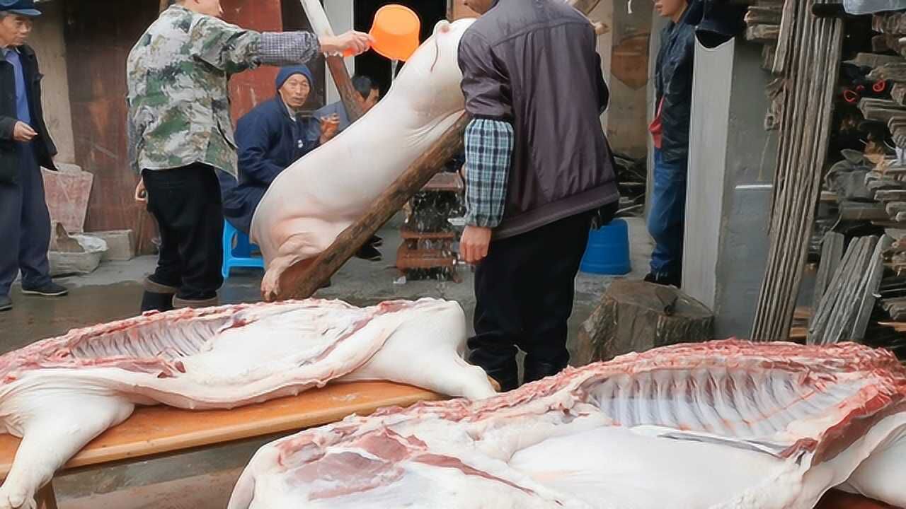 殺年豬了,做了兩鍋殺豬菜,配上一碗米酒,大家吃得好開心_騰訊視頻