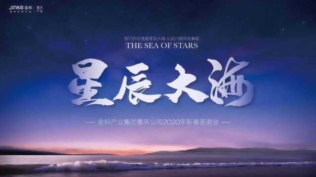 星辰大海视频