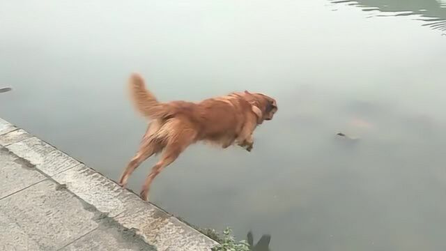 美妞豆发了一个短视频,你尽管点开,不好看算我输!