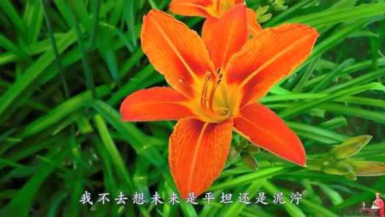 汪国真热爱生命