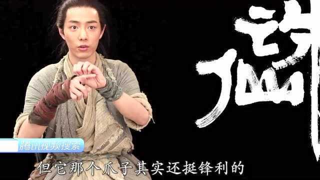 诛仙I:战哥自爆拍摄花絮,被猴子“误伤”,肖战的小表情太呆萌了!