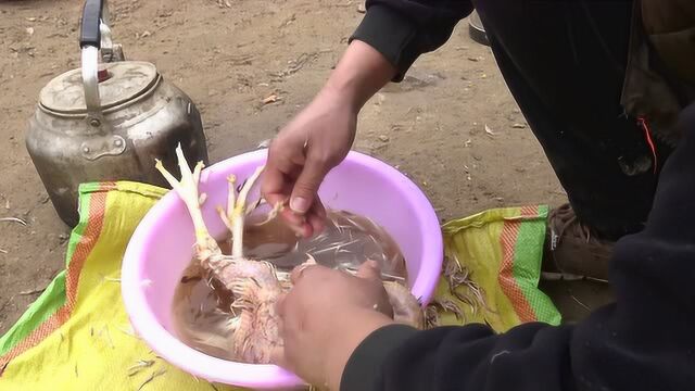 过年了,杀只鸡来庆祝,原来杀鸡还有讲究,看养鸡人怎么做?