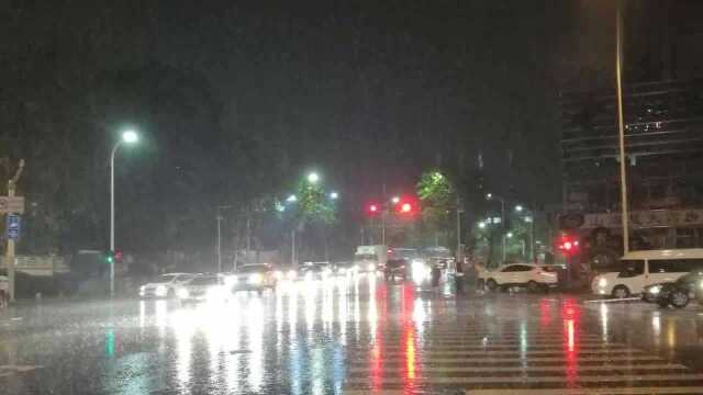 沈金山诗选《雨夜的街头》