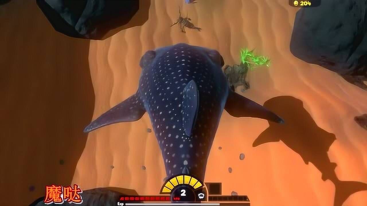 海底大乱斗:大嘴鲨鲸鱼