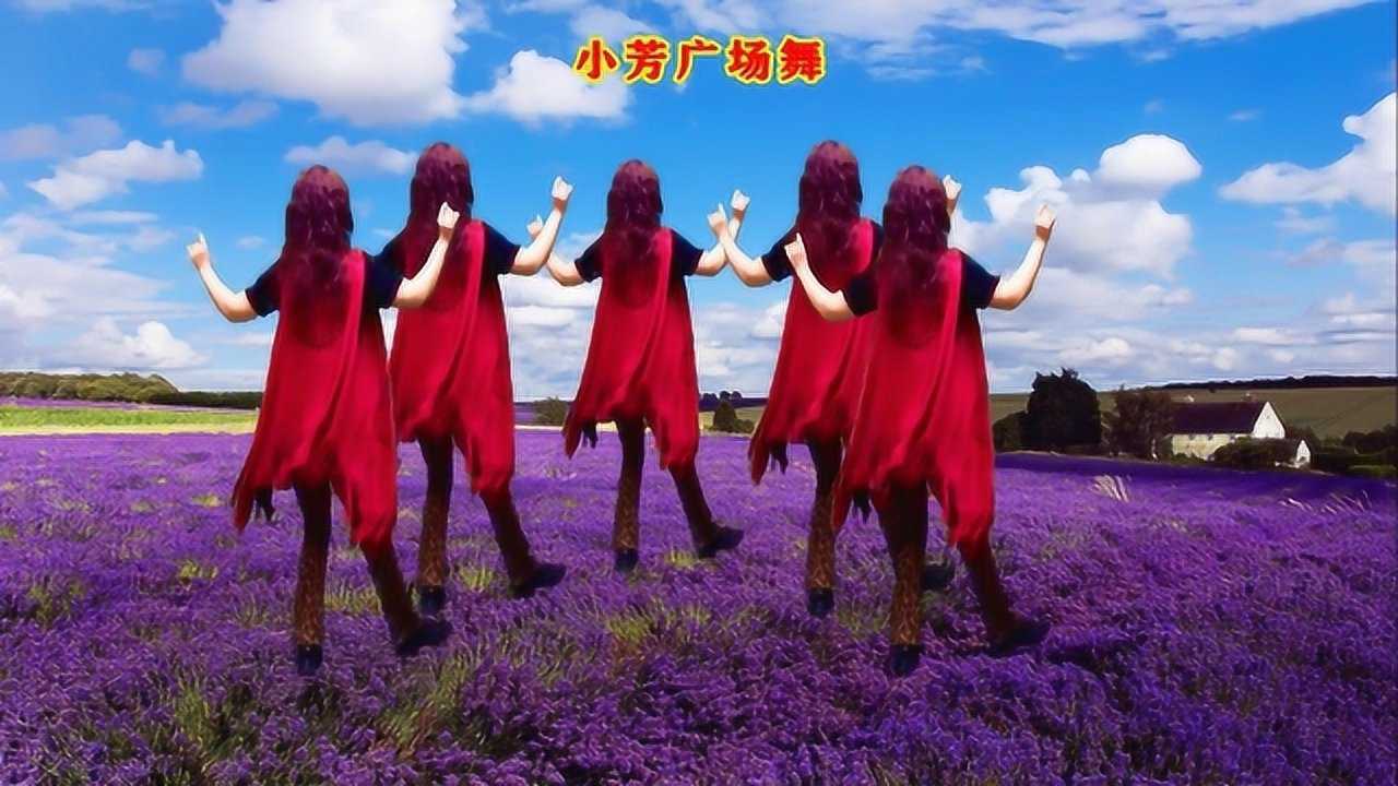 dj何鹏版广场舞野花香歌声狂野潇洒动感入门舞