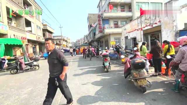 福建平潭澳前镇,离台湾最近的菜市场,看看都有些什么