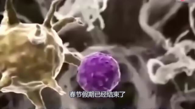 病毒潜伏期最长可达14天,各单位延迟上班,学生进行网上学习