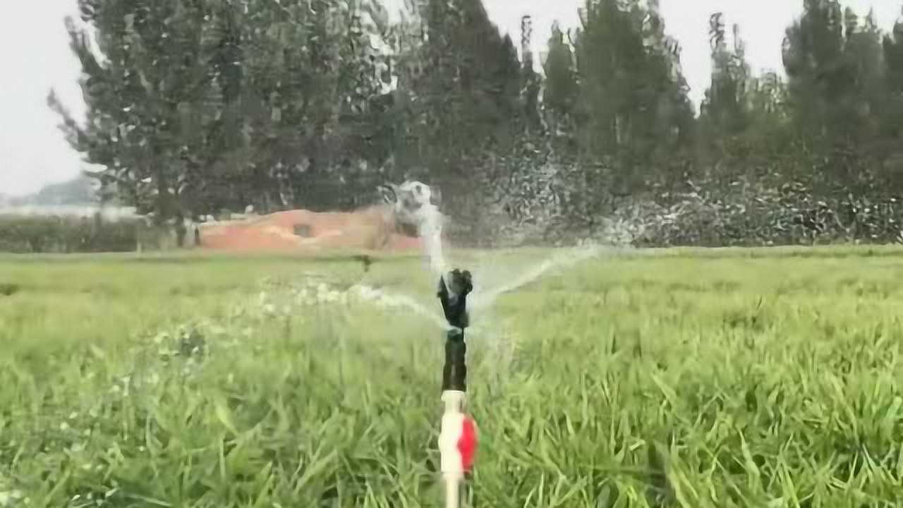 农业喷灌技术，现在浇水都不用人工了，科技真是太先进了！_高清