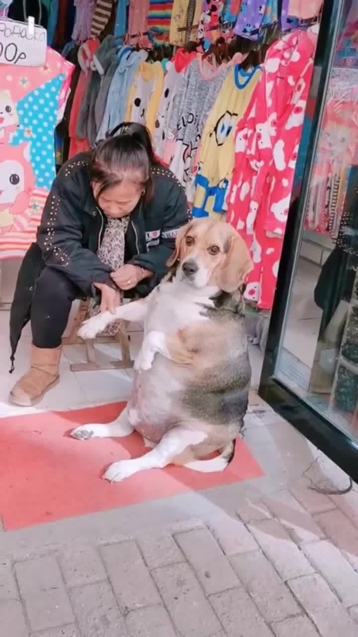 谁家煤气罐成精了