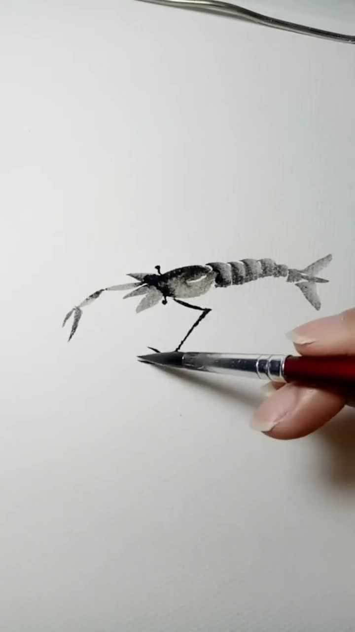 教你简单画虾一看就会画