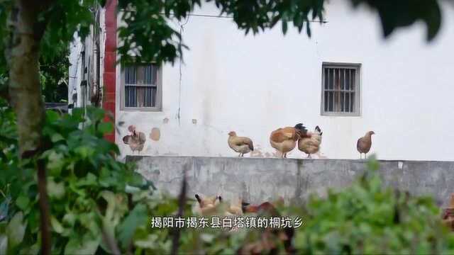 风味原产地ⷮŠ潮汕: 潮汕人把粿条带到了各地,大放光彩