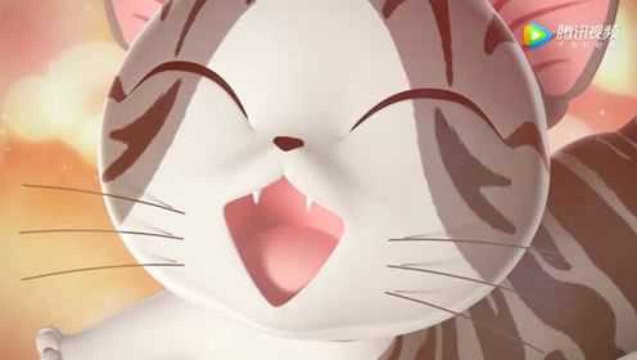 《甜甜私房猫》超级可爱的小奇!